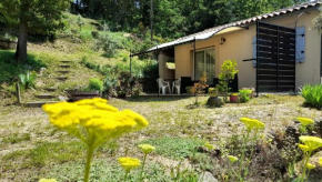 Gîte SITTELLE